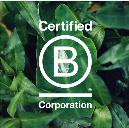 Becoming B Corp Certified – Cinnamon Cove Swimwear