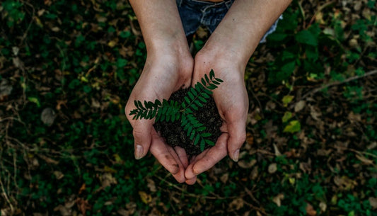 Greenwash. What is it?