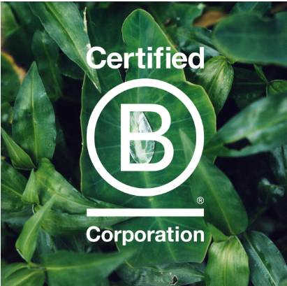 Becoming B Corp Certified